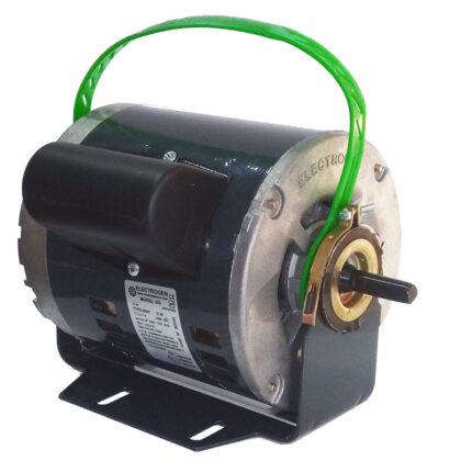 الکتروموتور کولری الکتروژن 3/4 مدل EG گاورنردار